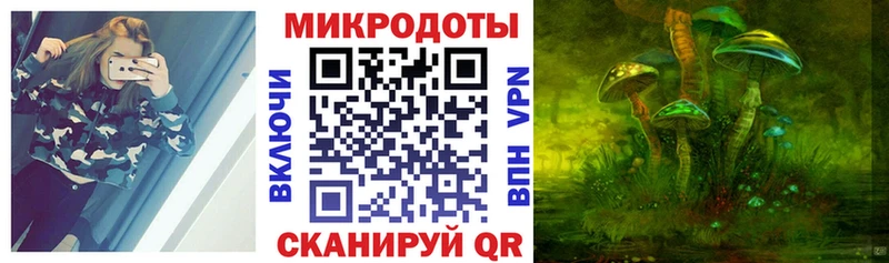 Галлюциногенные грибы Psilocybine cubensis  Межгорье 